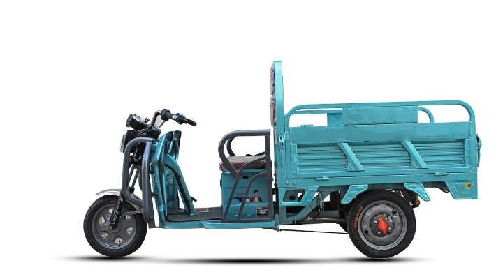 E Rickshaw Loader Good Carrying Delivery Cargo Truck Motorcycle 800W/1000W Tricycle Electric Mobility Trike with Big Capacity