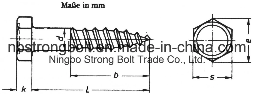 DIN571 Hex Head Lag Screw More Than 10 Years Produce Experience Factory