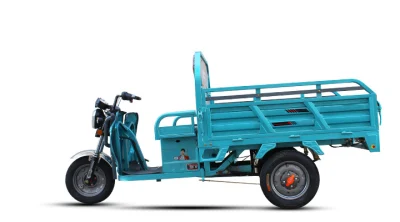 Caricatore E-Risciò Buono da trasportare Van Truck Moto Triciclo 800W / 1000W Triciclo elettrico per mobilità di grande capacità